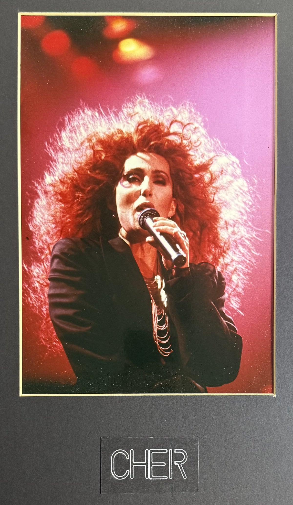 Cher Original 1992 Love Hurts Tour Live Concert Photo from Andy Phillips Personal Collection