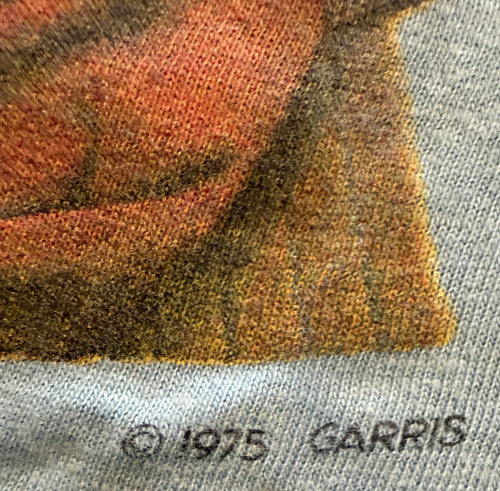 Vintage Grateful Dead 1975 Garris "Fiddler" T-Shirt