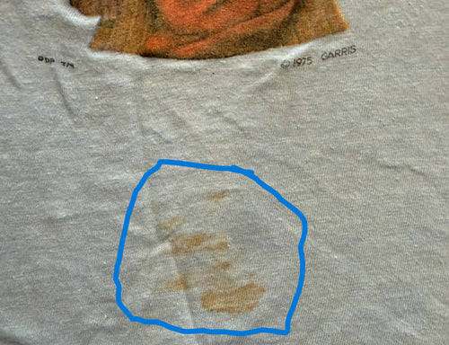 Vintage Grateful Dead 1975 Garris "Fiddler" T-Shirt