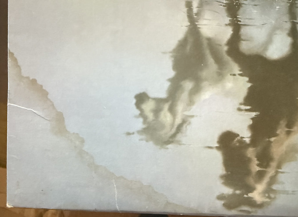 Bob Seger - Against The Wind - 1980 used vinyl - VG+/G (plays great!)