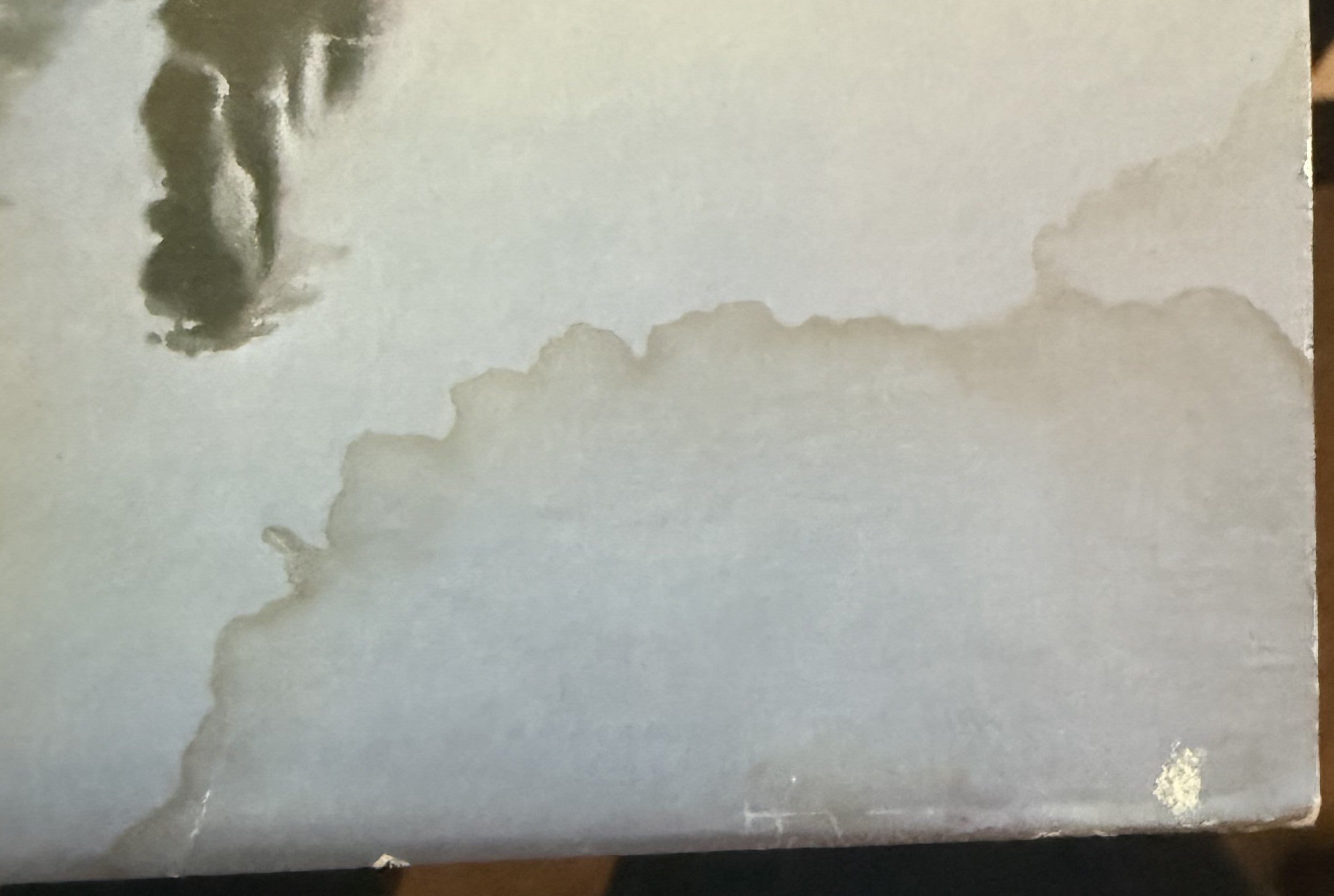 Bob Seger - Against The Wind - 1980 used vinyl - VG+/G (plays great!)