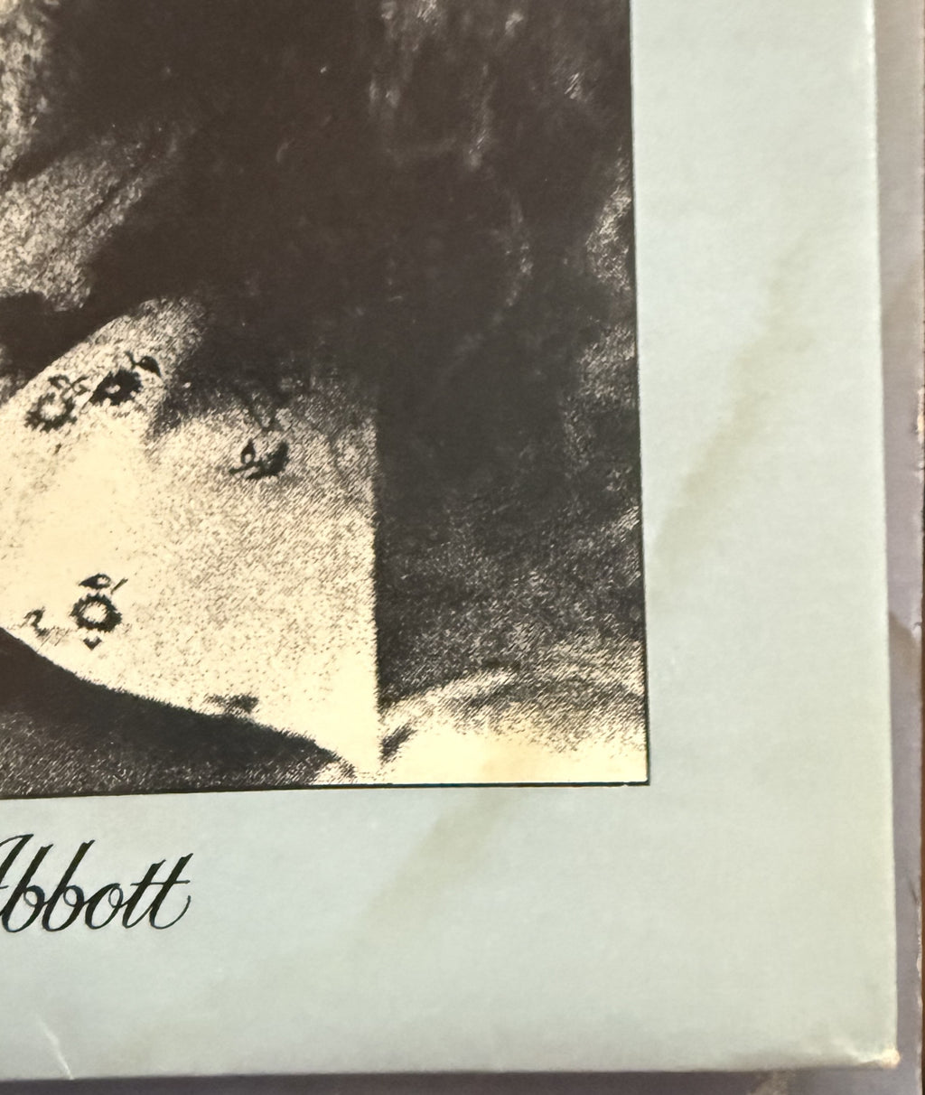 Bob Seger - Against The Wind - 1980 used vinyl - VG+/G (plays great!)