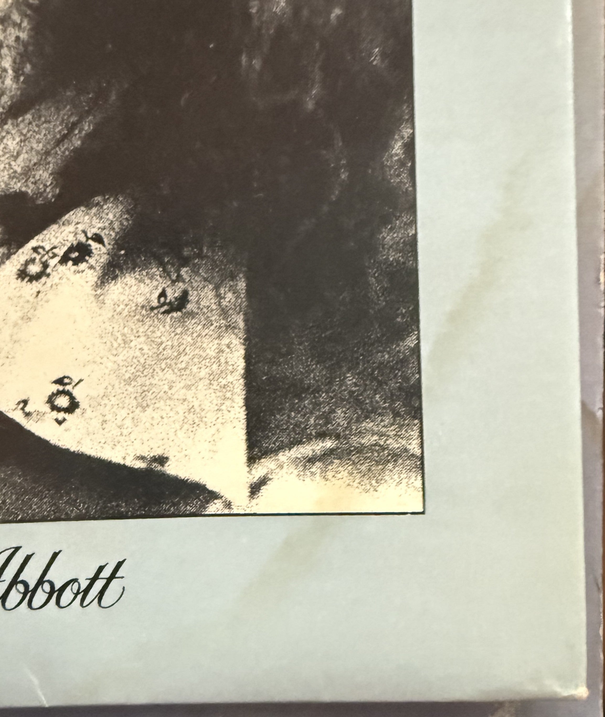 Bob Seger - Against The Wind - 1980 used vinyl - VG+/G (plays great!)
