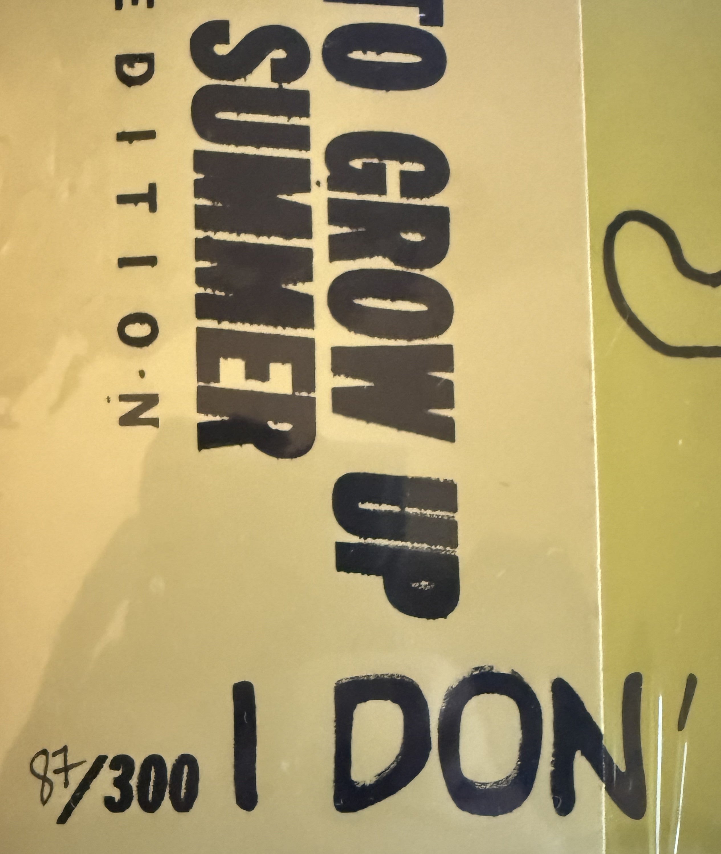 ONLY 300 copies! Descendents -I Don't Want to Grow Up-Sealed/NM w obi & hand #'d