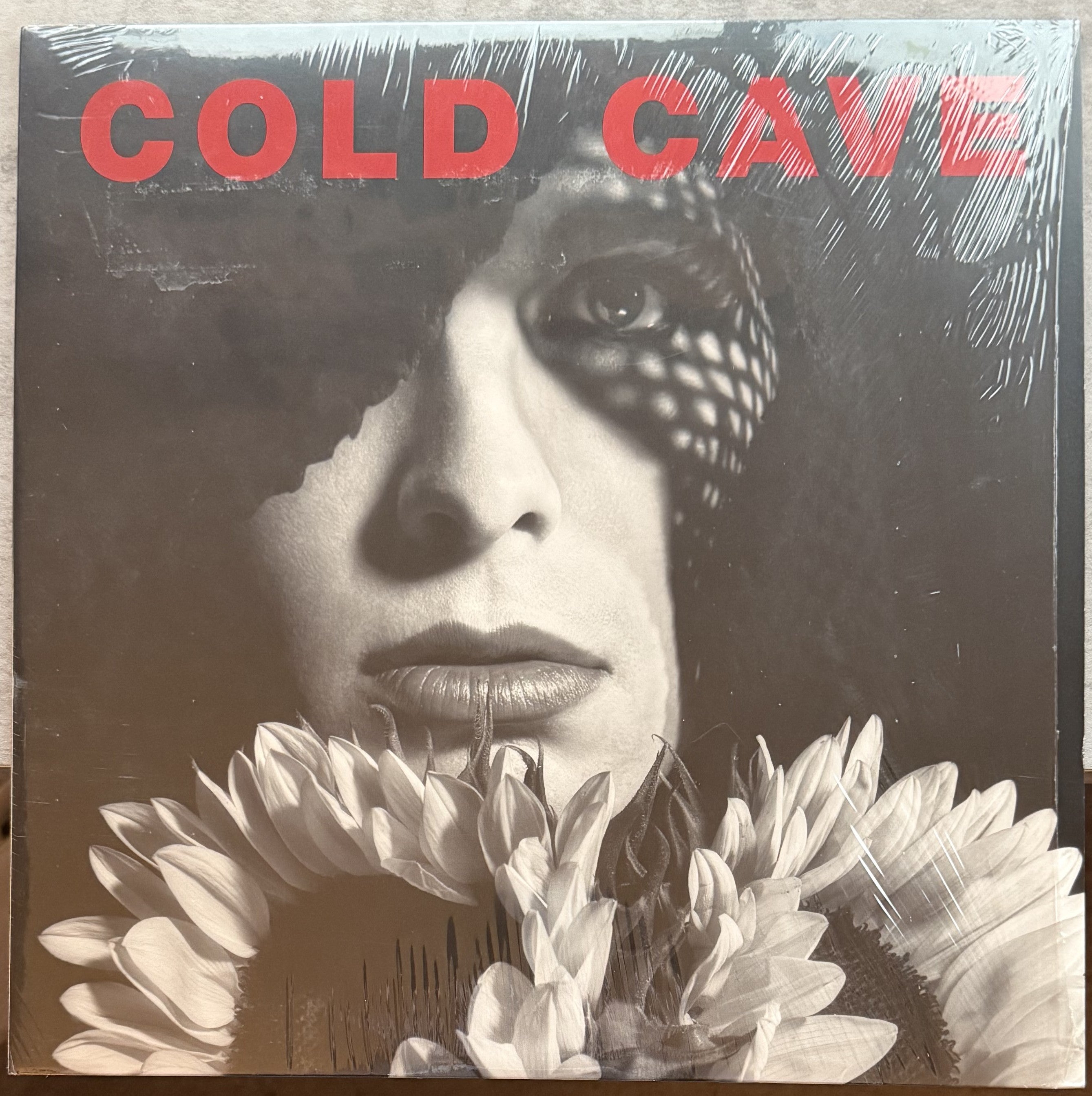Cold Cave -Cherish the Light Years -2011 EU import 180g vinyl VG+/VG+