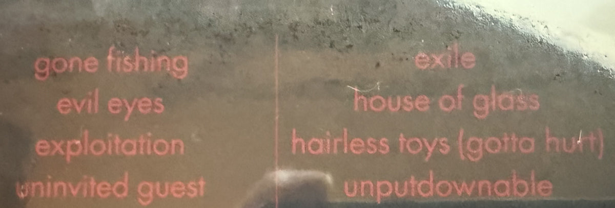Roisin Murphy -Hairless Toys First press, 2015 EU import 180g vinyl VG++
