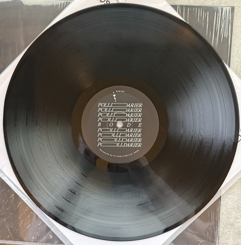 Polldarier -Bode 2025 vinyl like brand new! Strong VG+/NM both disc and cover