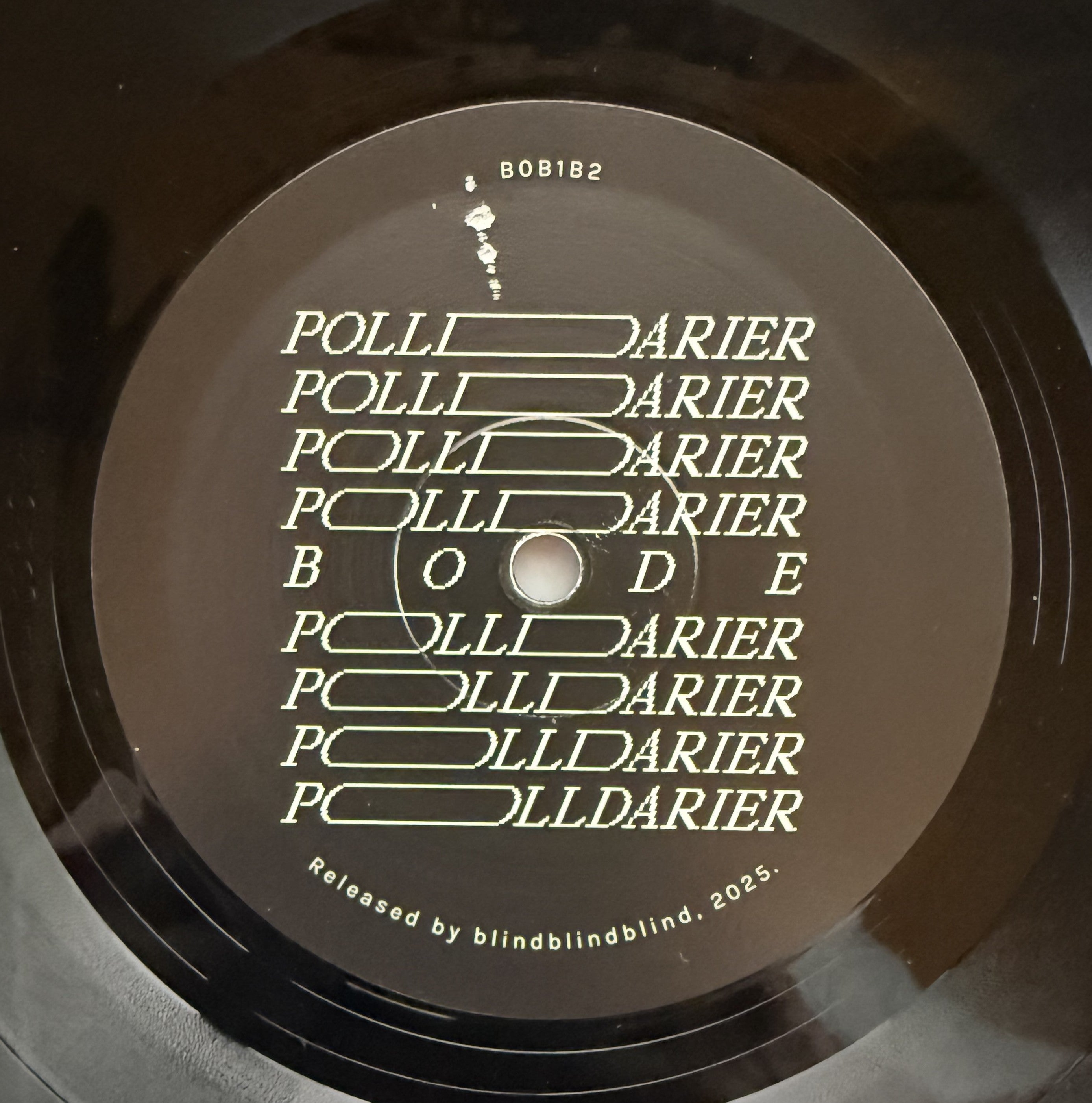 Polldarier -Bode 2025 vinyl like brand new! Strong VG+/NM both disc and cover