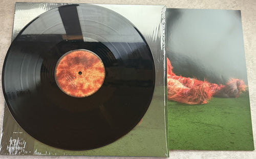 LUMP - Lump - 2018 1st press 140g vinyl w/ obi Strong VG+/VG+  --Like New!