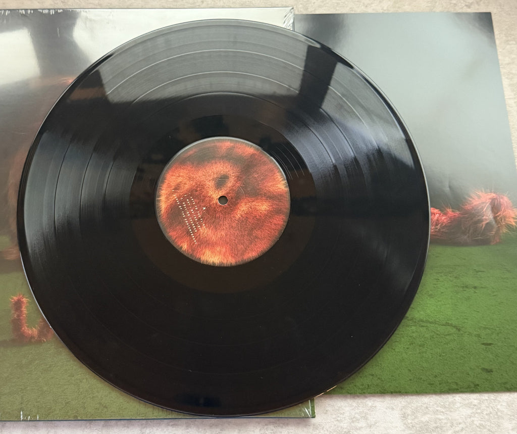 LUMP - Lump - 2018 1st press 140g vinyl w/ obi Strong VG+/VG+  --Like New!