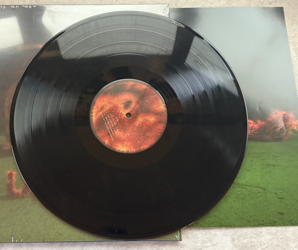 LUMP - Lump - 2018 First press 140g vinyl w/ obi Strong VG+/VG+  --Like New!