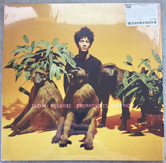 Skinny Pelembe -Dreaming Is Dead Now -2019 UK first press, audiophile vinyl 190g
