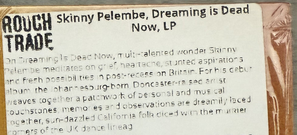 Skinny Pelembe -Dreaming Is Dead Now -2019 UK first press, audiophile vinyl 190g