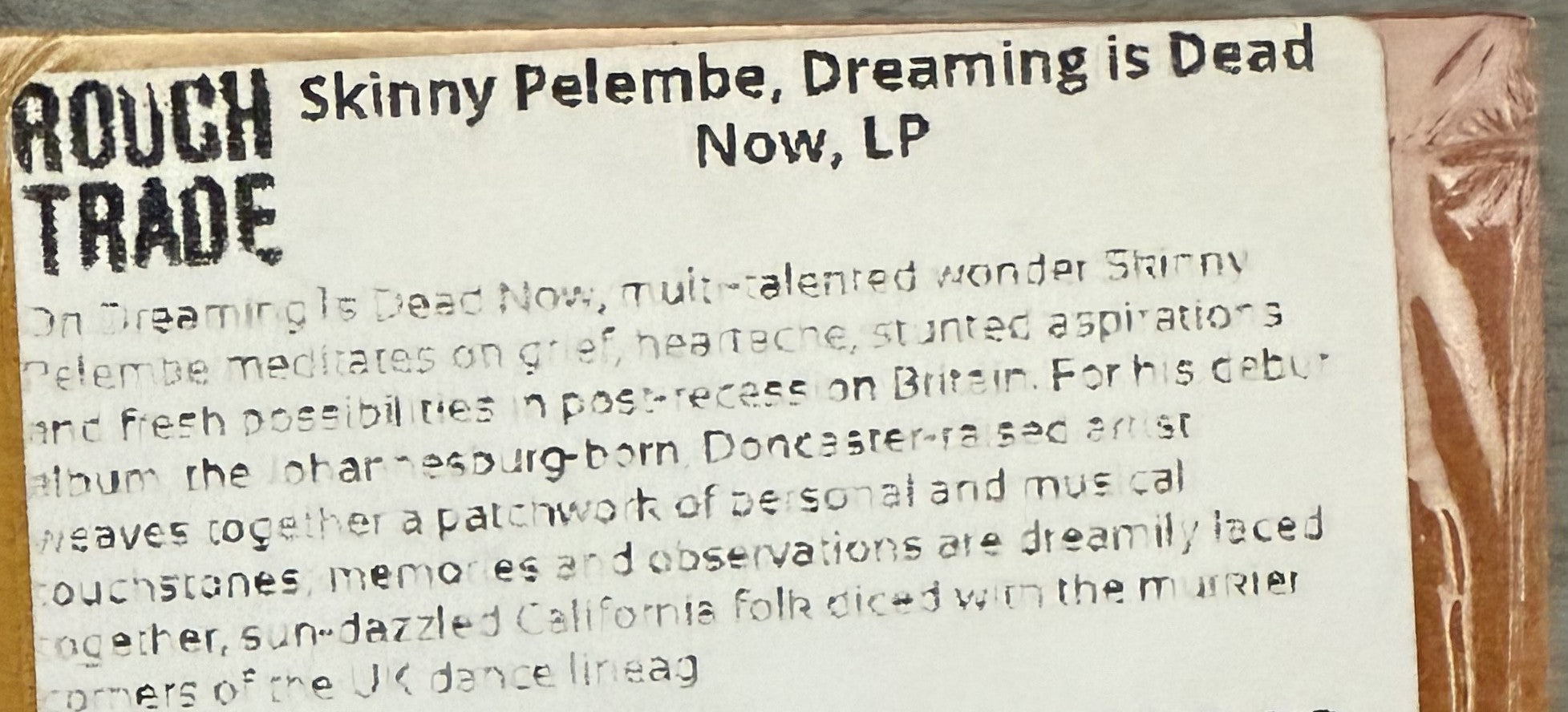 Skinny Pelembe -Dreaming Is Dead Now -2019 UK first press, audiophile vinyl 190g