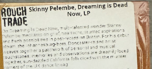 Skinny Pelembe -Dreaming Is Dead Now -2019 UK first press, audiophile vinyl 190g