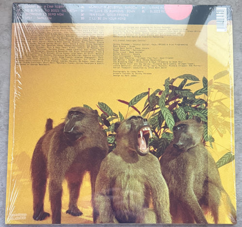Skinny Pelembe -Dreaming Is Dead Now -2019 UK first press, audiophile vinyl 190g