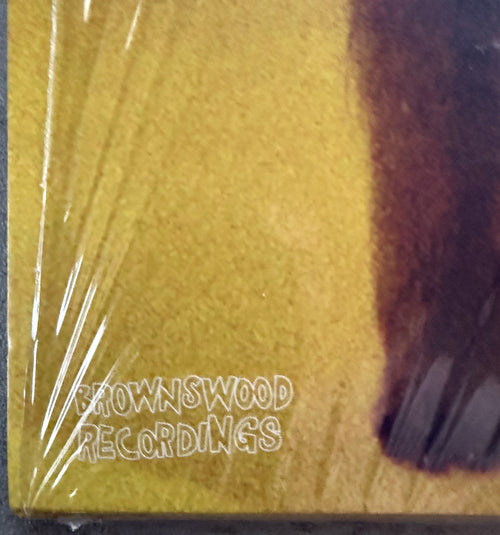 Skinny Pelembe -Dreaming Is Dead Now -2019 UK first press, audiophile vinyl 190g