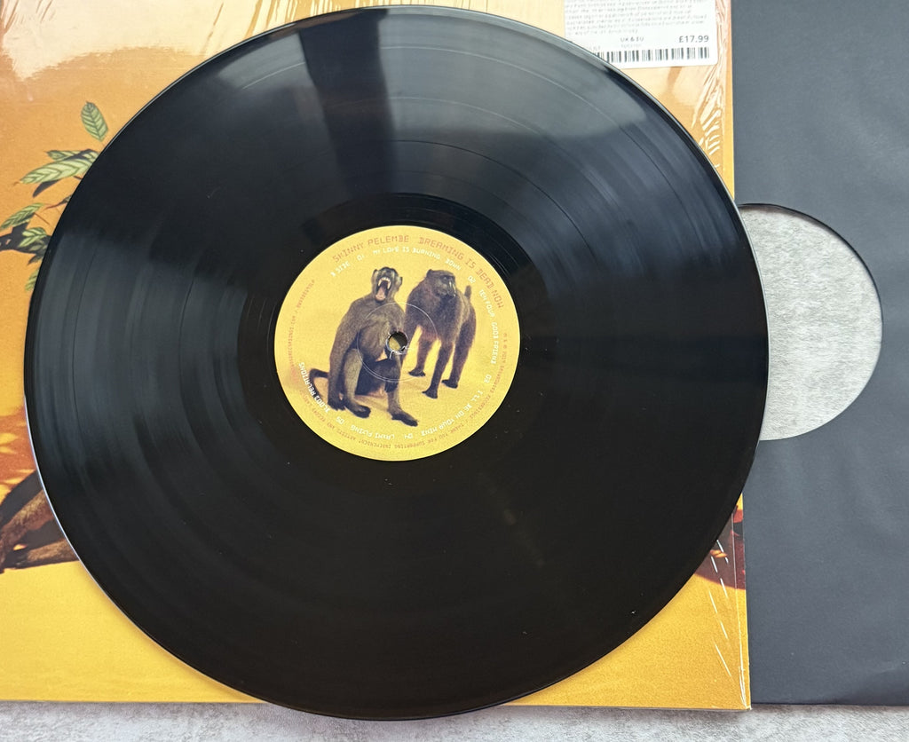 Skinny Pelembe -Dreaming Is Dead Now -2019 UK first press, audiophile vinyl 190g