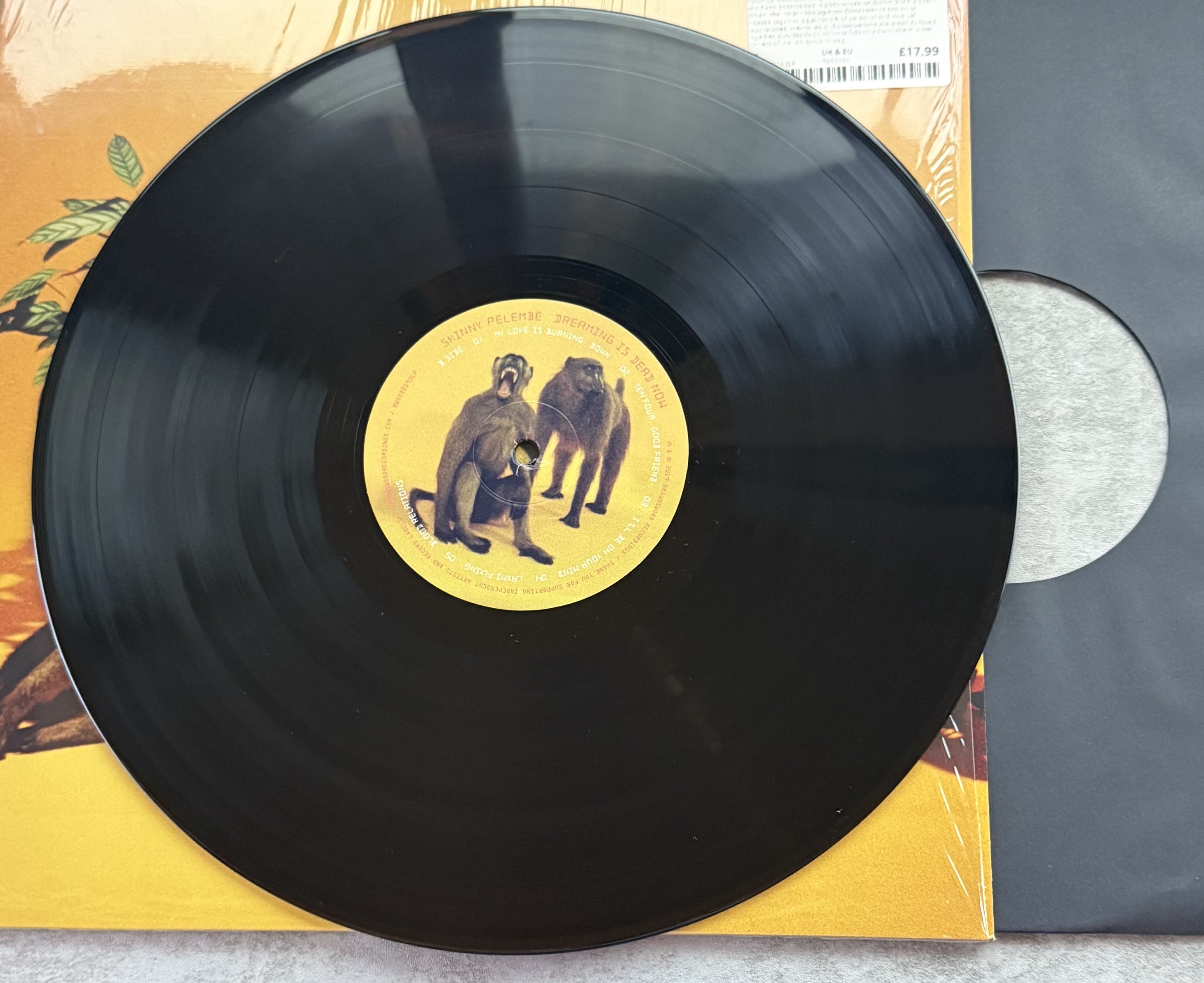 Skinny Pelembe -Dreaming Is Dead Now -2019 UK first press, audiophile vinyl 190g