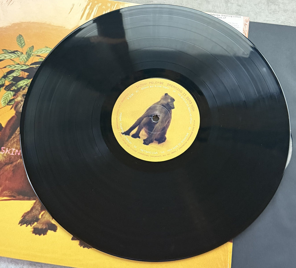 Skinny Pelembe -Dreaming Is Dead Now -2019 UK first press, audiophile vinyl 190g