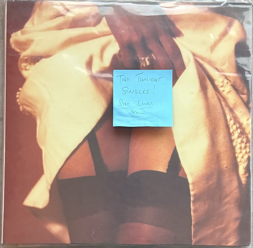 The Twilight Singers - She Loves You - Strong VG+/VG+ used 140g vinyl, explicit