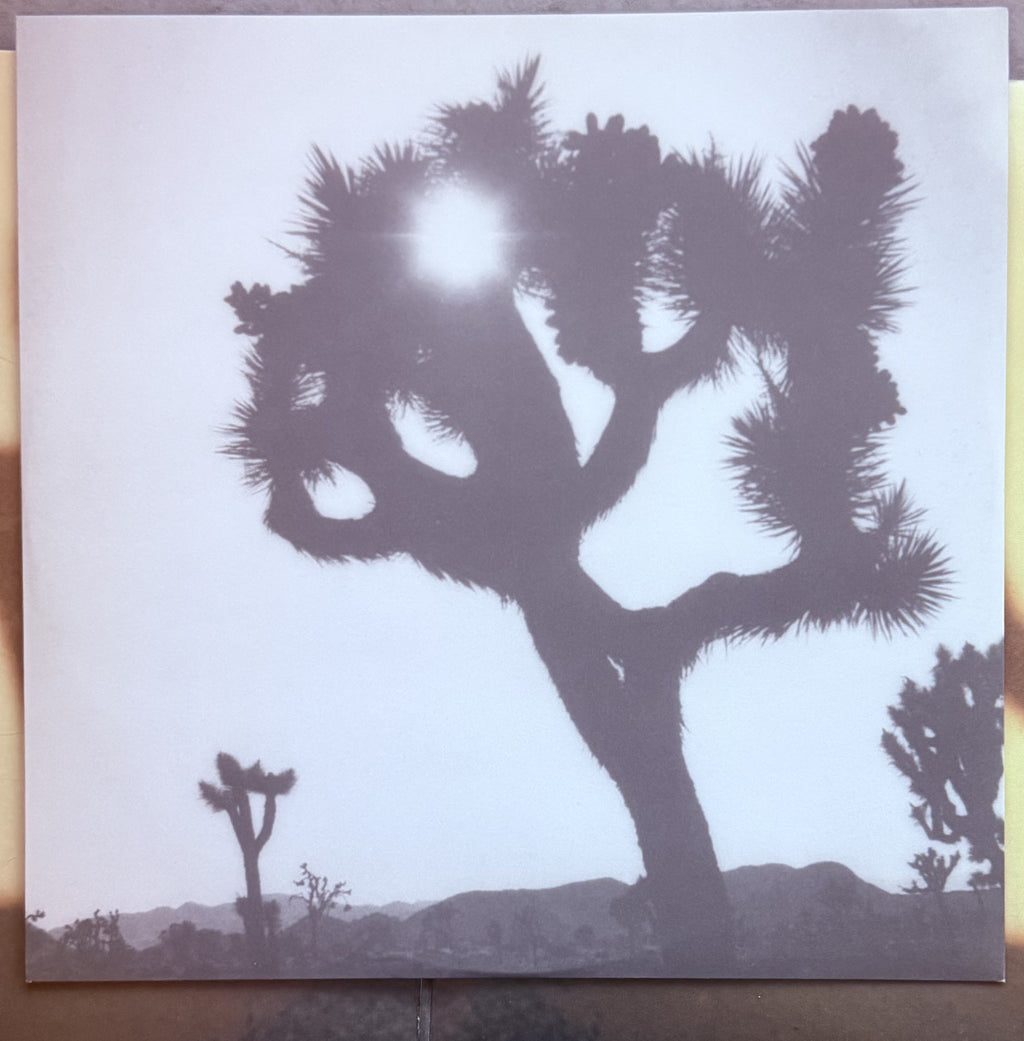 The Twilight Singers - She Loves You - Strong VG+/VG+ used 140g vinyl, explicit