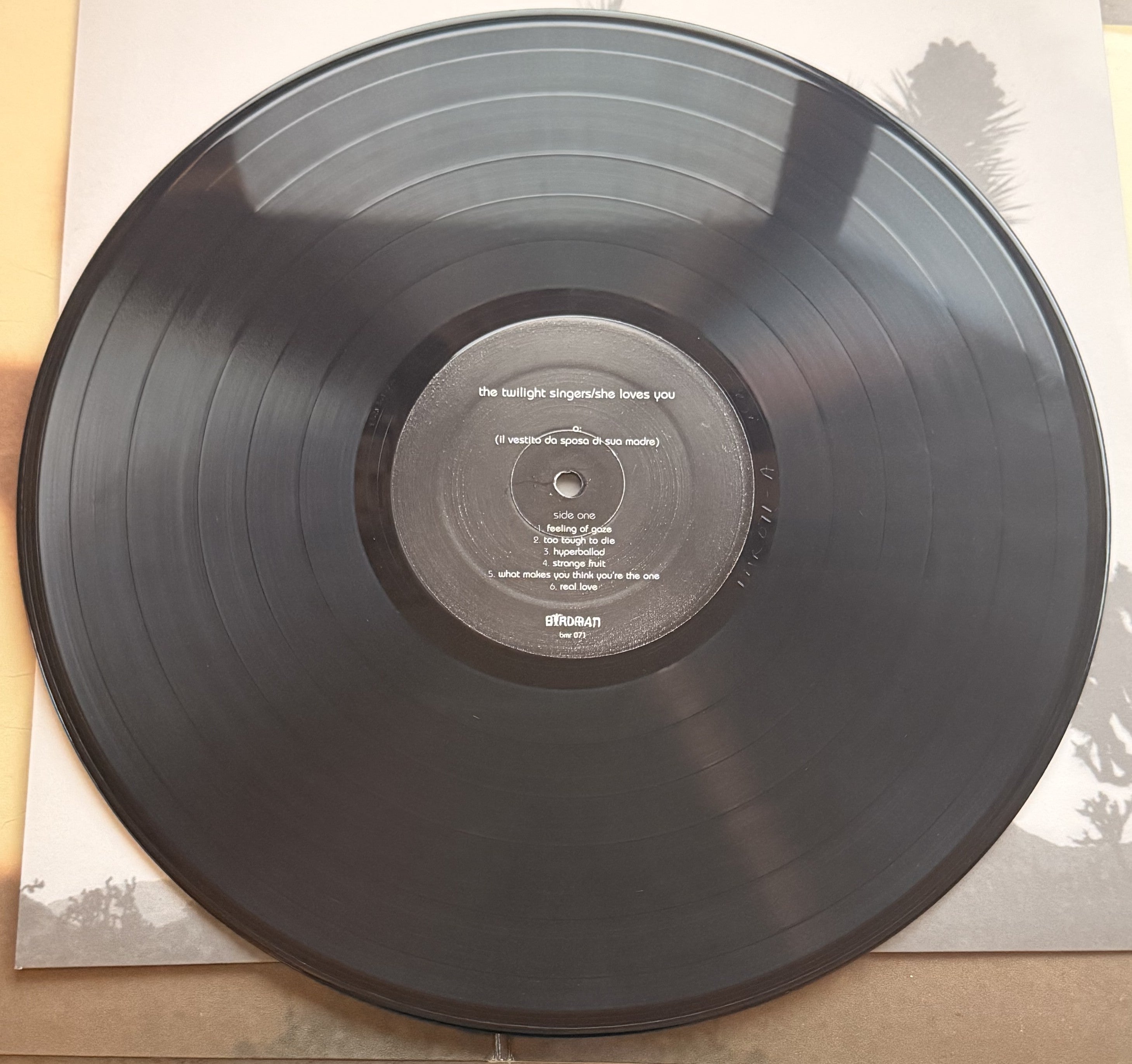 The Twilight Singers - She Loves You - Strong VG+/VG+ used 140g vinyl, explicit