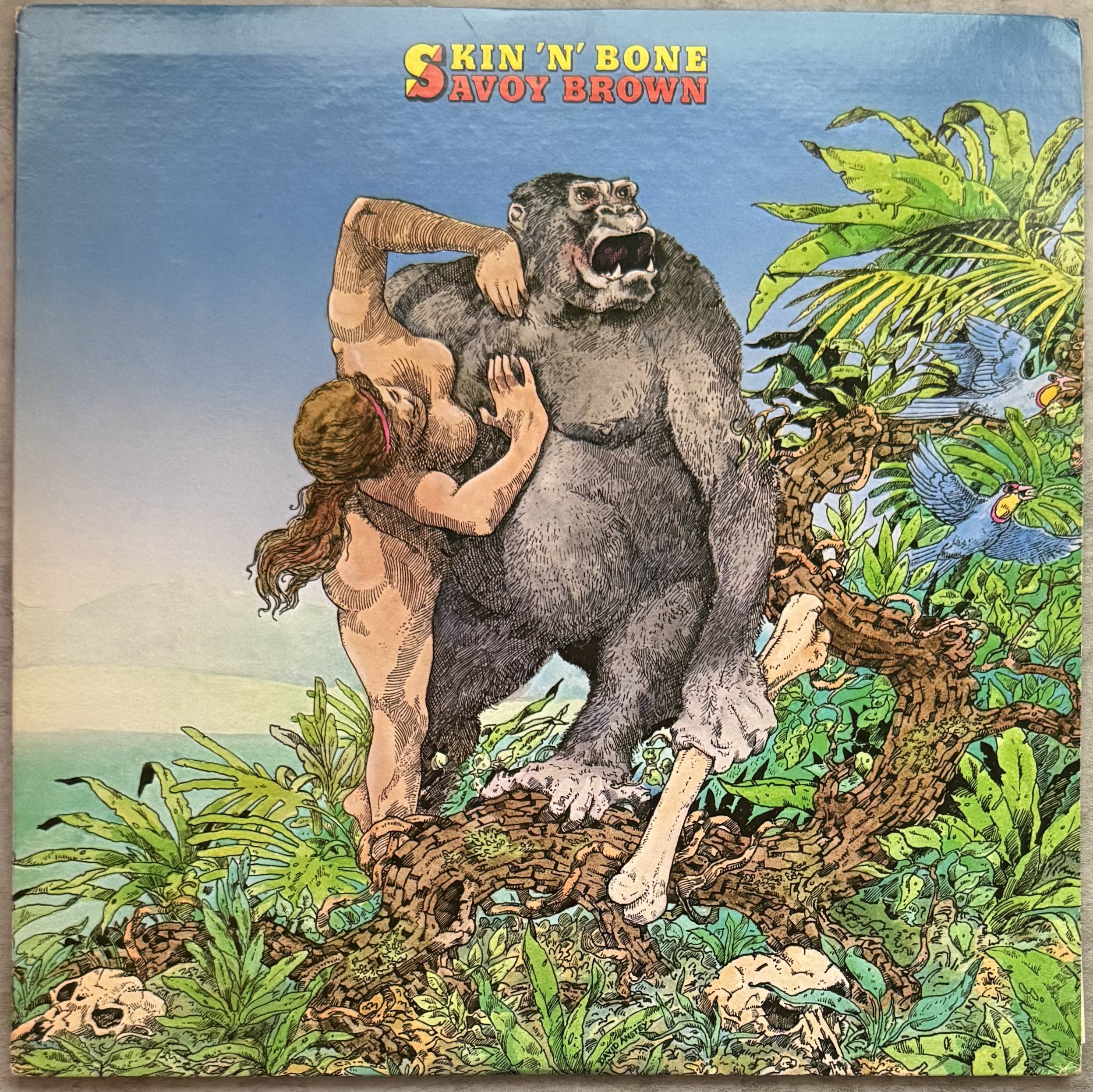 Savoy Brown - Skin 'N' Bone - 1st press (TH) Strong VG+/VG+ 1976 vinyl PS 670