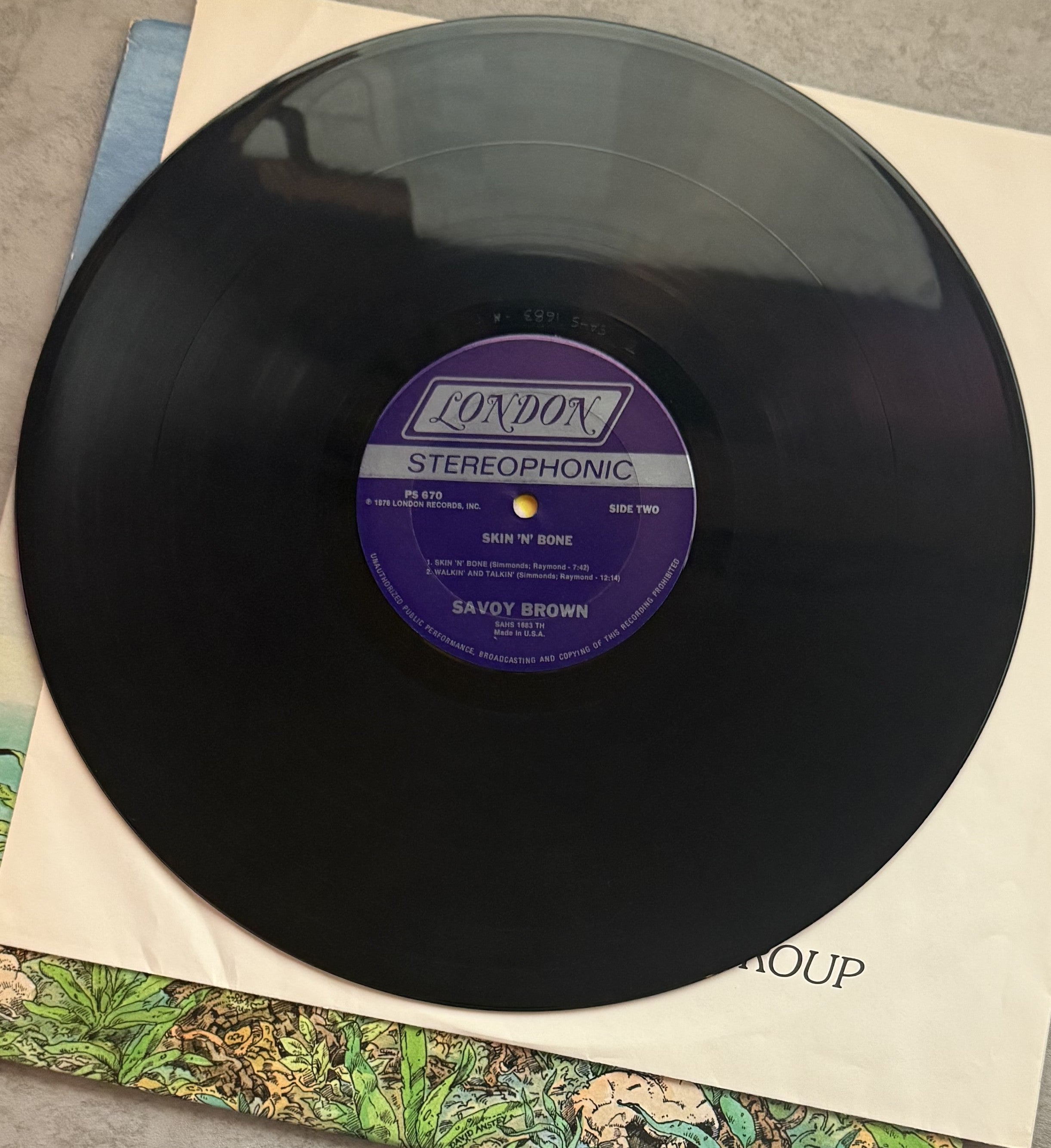 Savoy Brown - Skin 'N' Bone - 1st press (TH) Strong VG+/VG+ 1976 vinyl PS 670