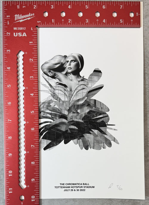 Rare Original Lady Gaga (#2/60) UK Tour Art Print hand-numbered/initialed