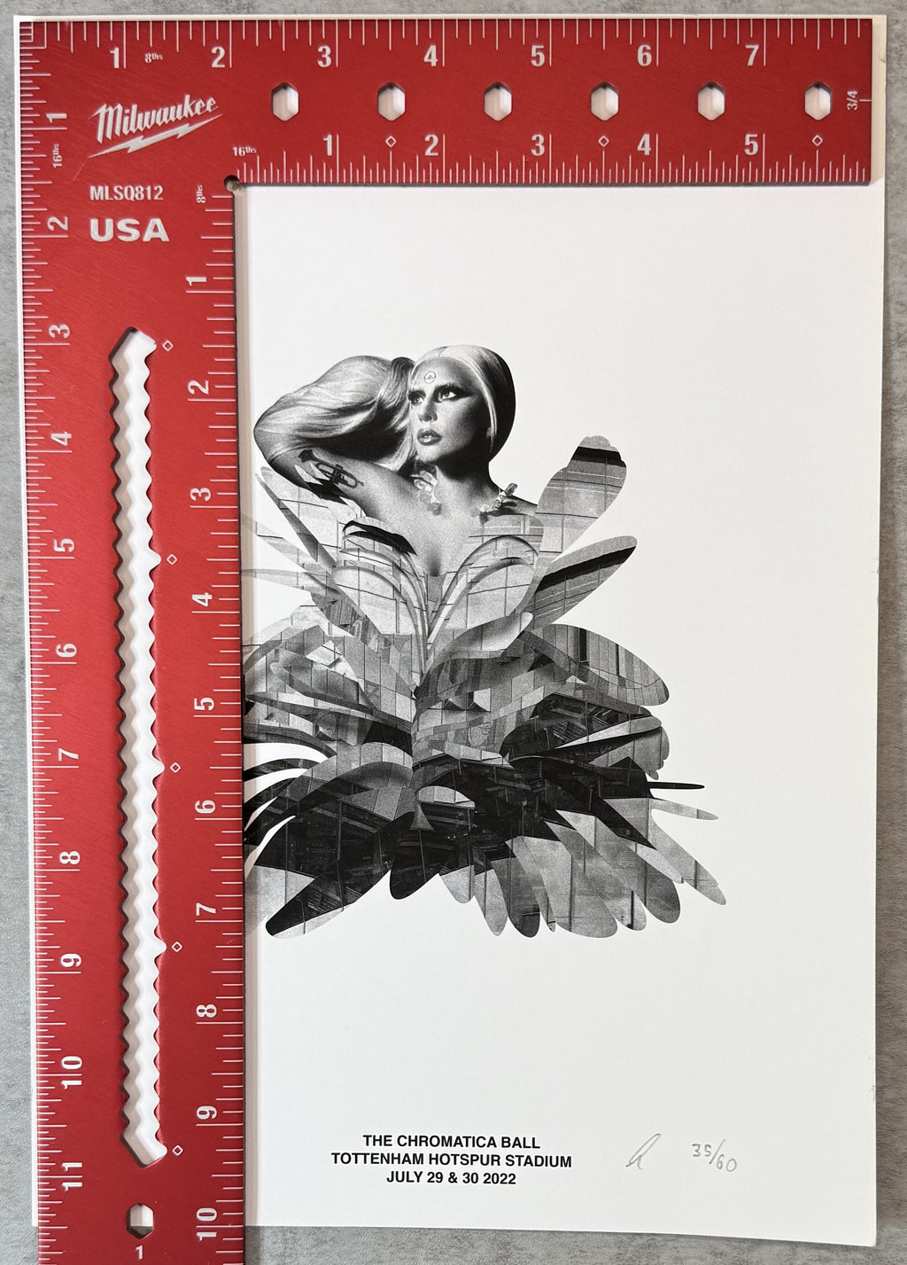Rare Original Lady Gaga (#35/60) UK Tour Art Print hand-numbered/initialed