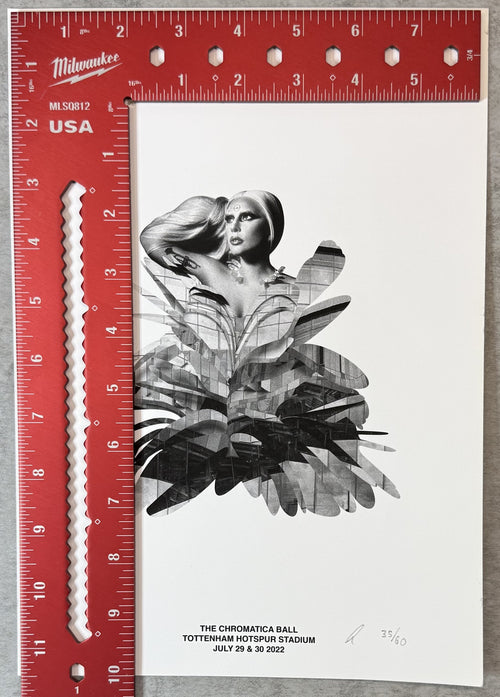 Rare Original Lady Gaga (#35/60) UK Tour Art Print hand-numbered/initialed