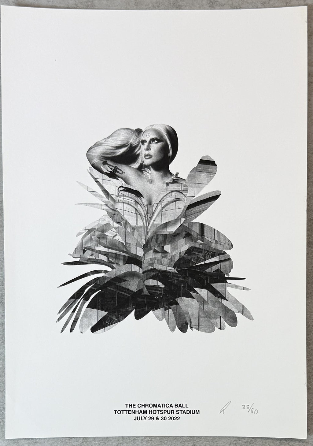 Rare Original Lady Gaga (#35/60) UK Tour Art Print hand-numbered/initialed
