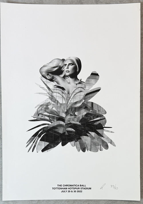 Rare Original Lady Gaga (#35/60) UK Tour Art Print hand-numbered/initialed