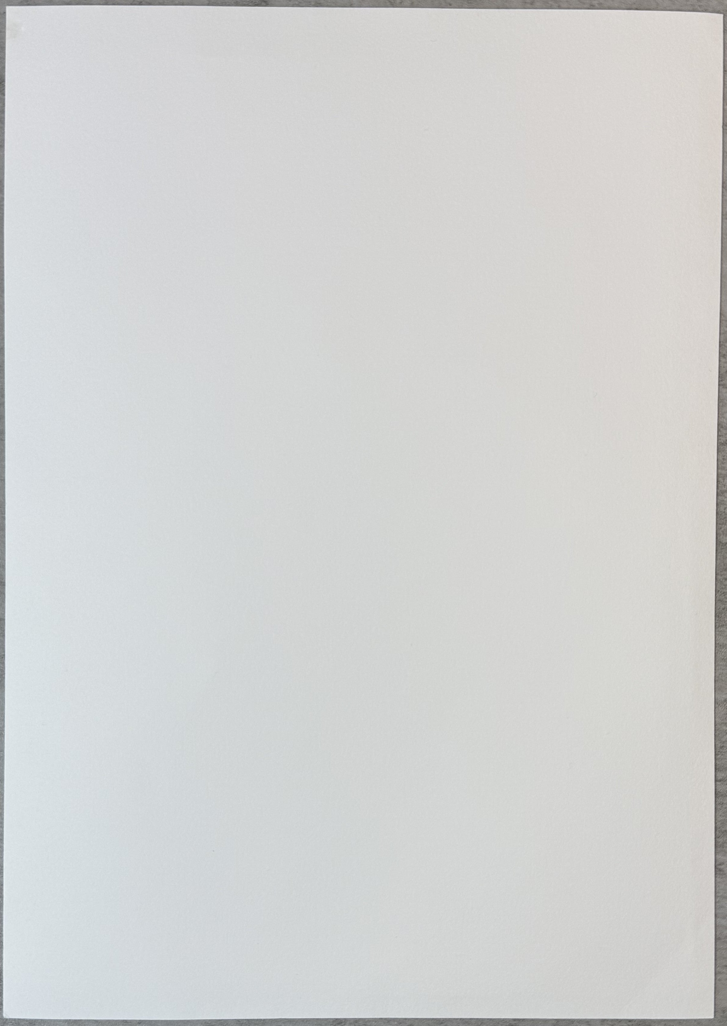 RARE Lady Gaga Chromatica Ball Tour Limited Edition Art Prints (hand-numbered/signed of 60)