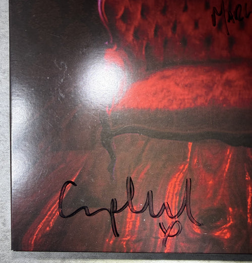 AUTOGRAPHED The Courteeners - Electric Lick - NM/NM 2010 UK Import Ltd Edtn #191