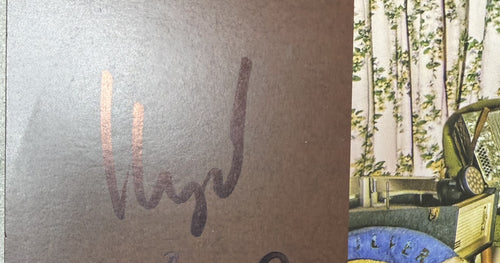 AUTOGRAPHED The Paddingtons - The Lady Boy Tapes 10" EP - 2010 UK RSD VG+/VG+