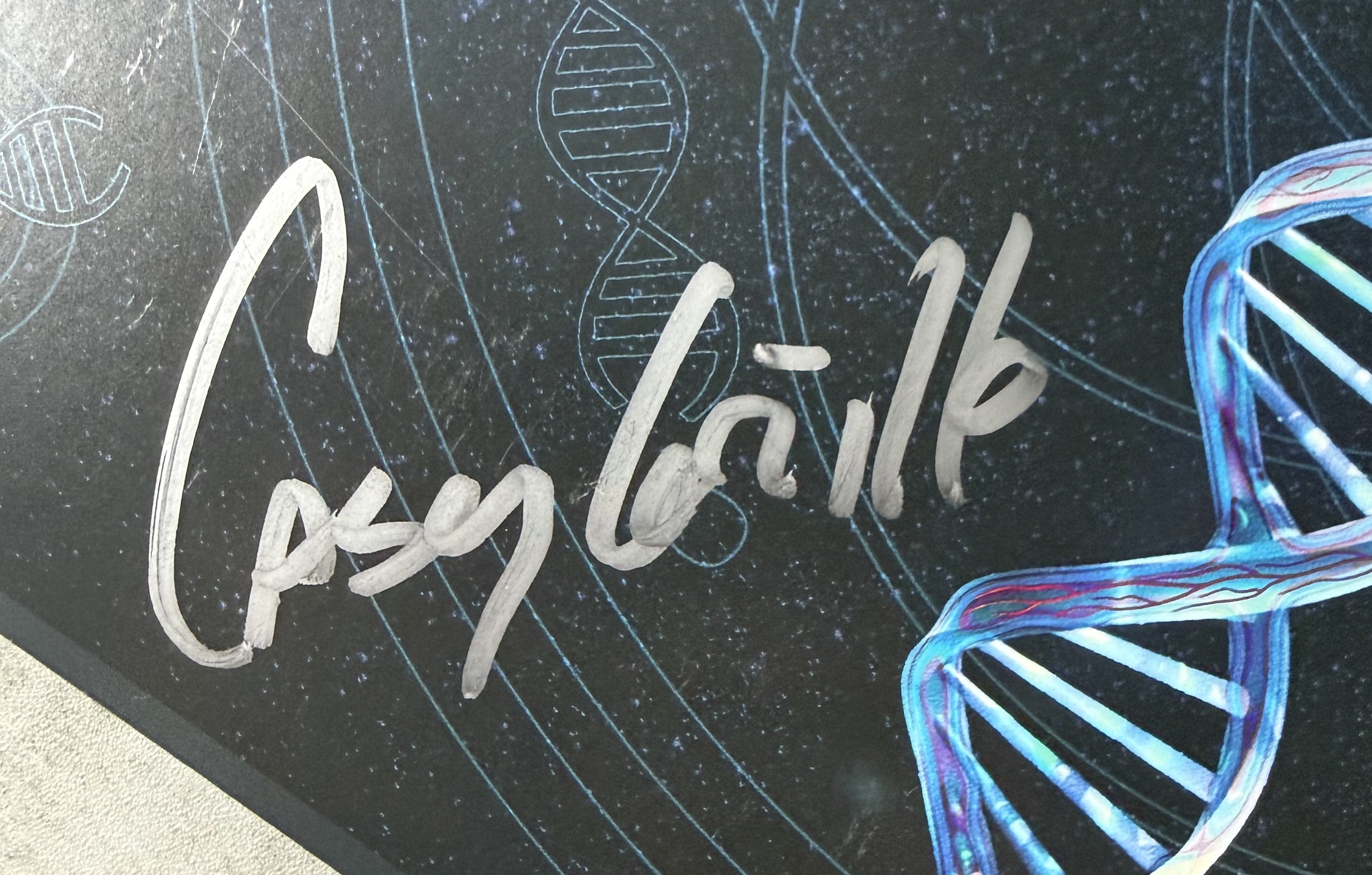 AUTOGRAPHED - Queensryche - Digital Noise Alliance 180g vinyl VG/VG+