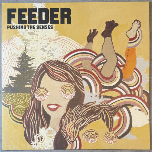 Feeder - Pushing The Senses 2005 UK 1st Press Ltd Edtn (1,000) VG+/VG+