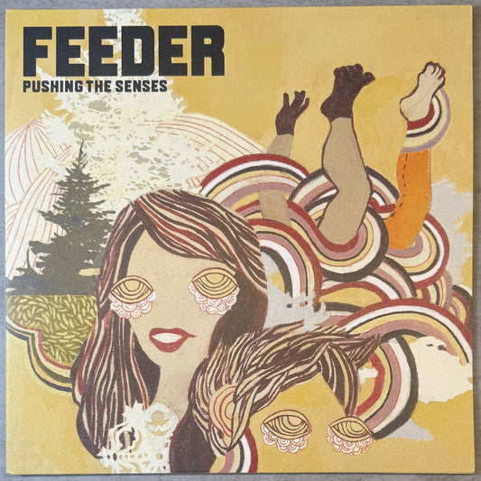 Feeder - Pushing The Senses 2005 UK 1st Press Ltd Edtn (1,000) VG+/VG+