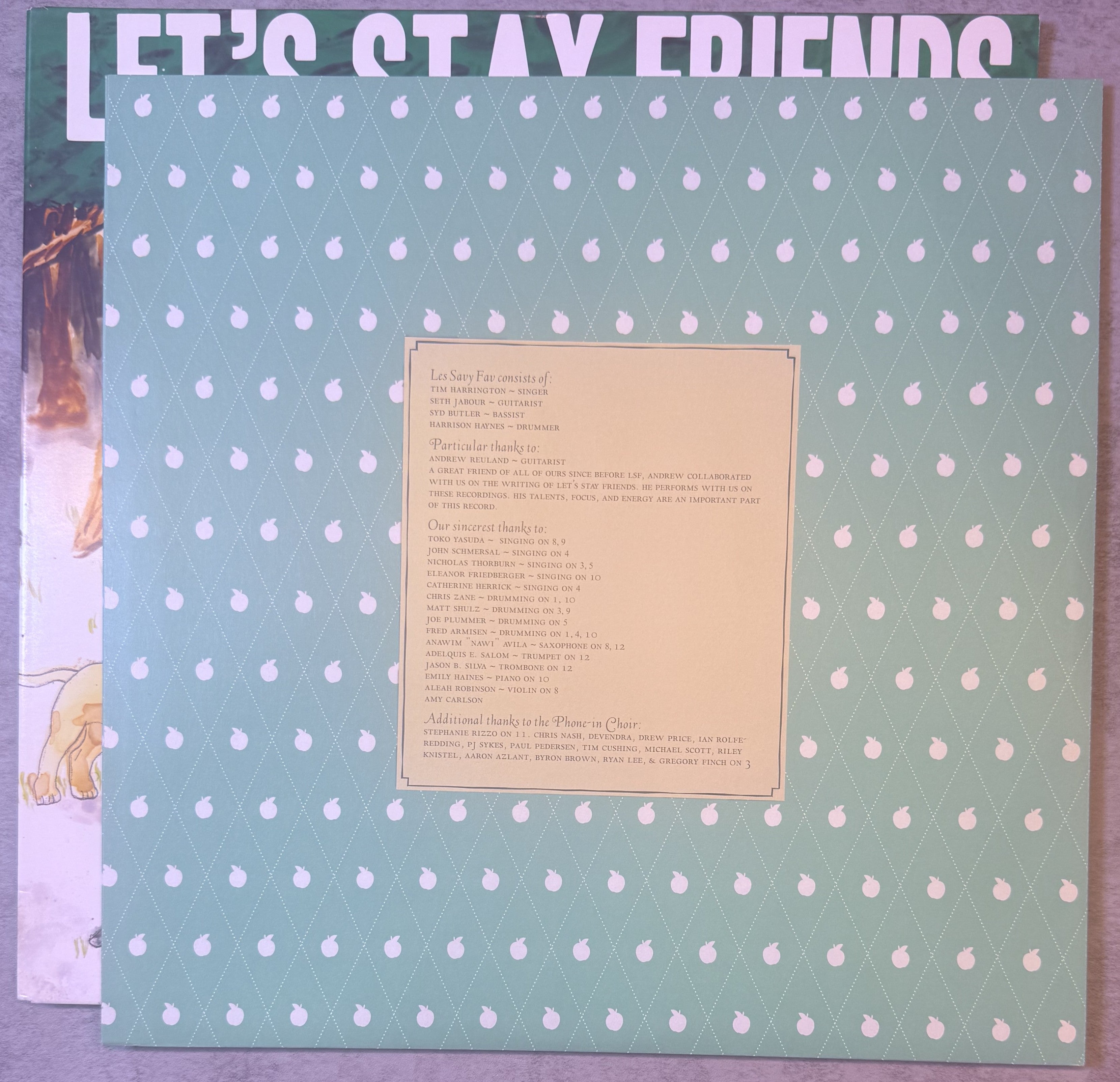 RARE Les Savy Fav - Let's Stay Friends "Like New" 2007 UK Import 180g Vinyl Punk/Indie