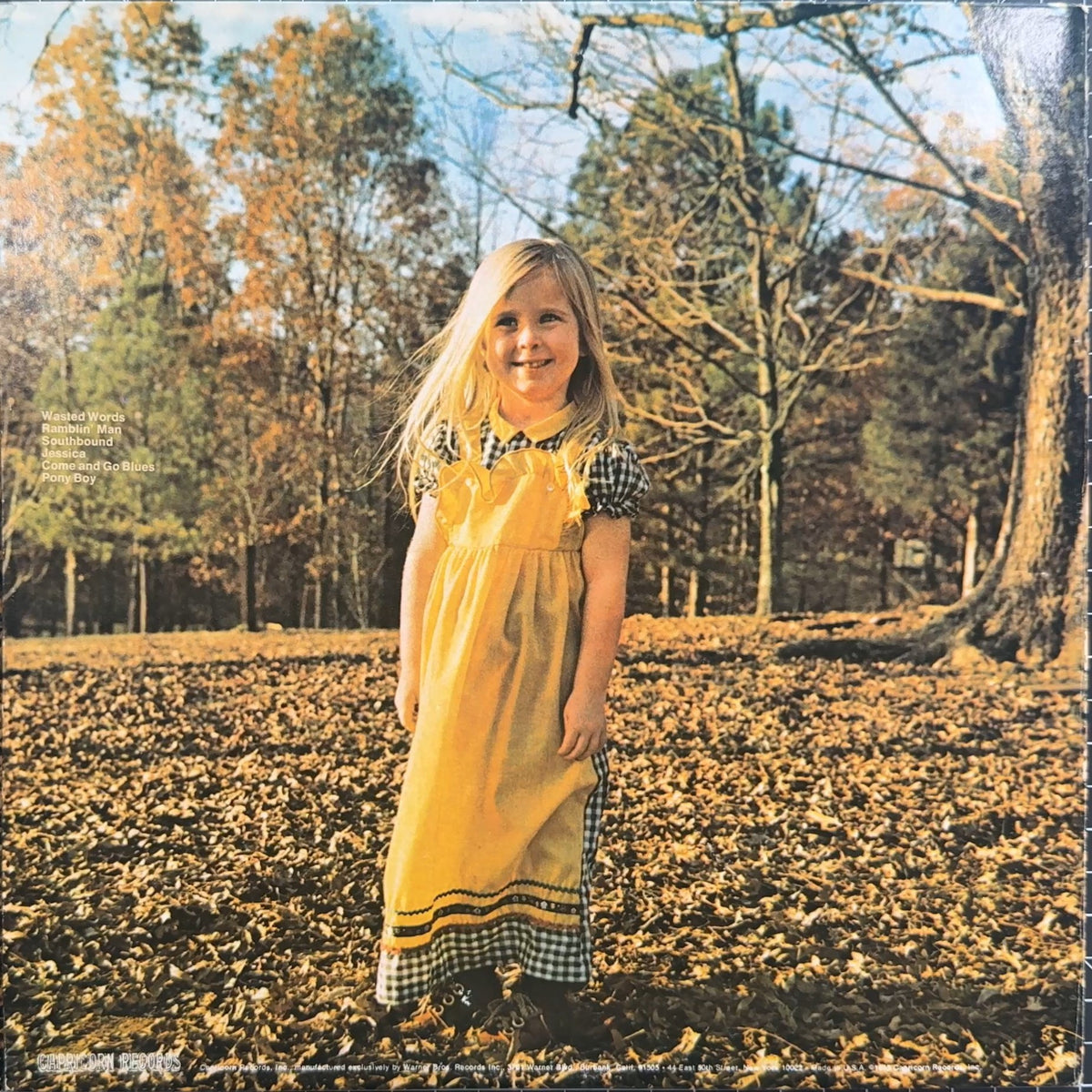 Allman Bros - Brothers & Sisters 1973 US 1st Press VG+/VG+