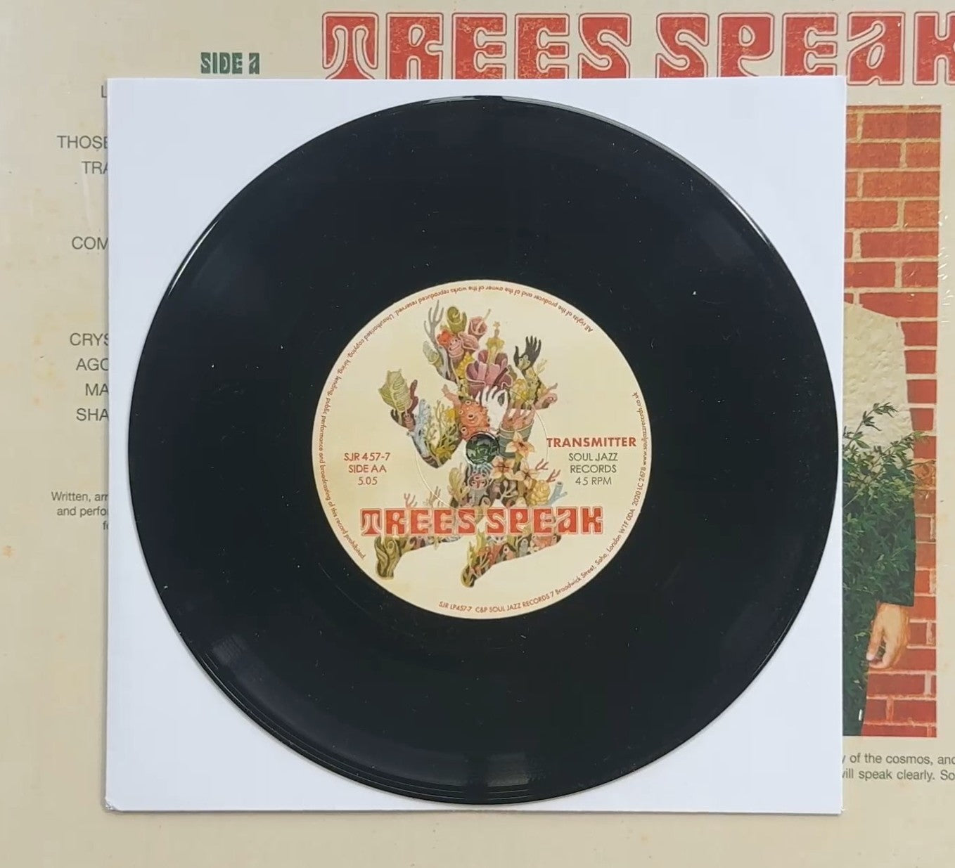 Trees Speak - Shadow Forms 2020 UK/Euro 1st Press LP + Bonus 7" VG+/VG+