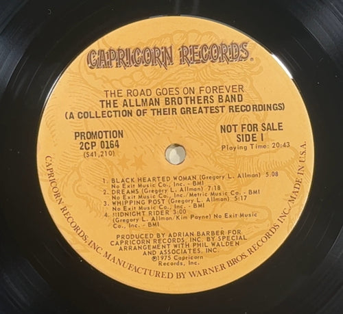 Allman Bros PROMO 1st Press The Road Goes On Forever 1975 VG/VG+
