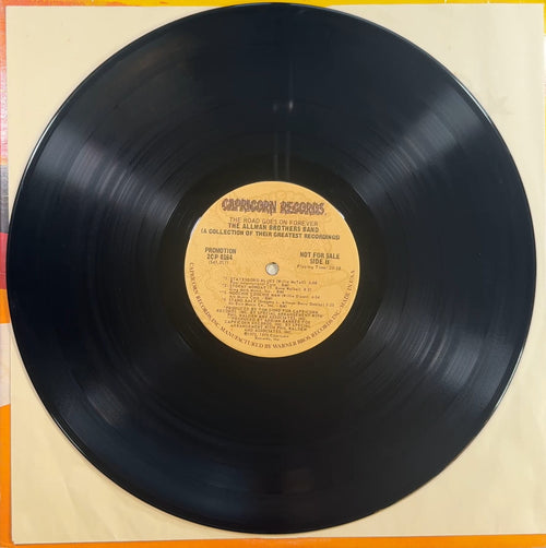 Allman Bros PROMO 1st Press The Road Goes On Forever 1975 VG/VG+