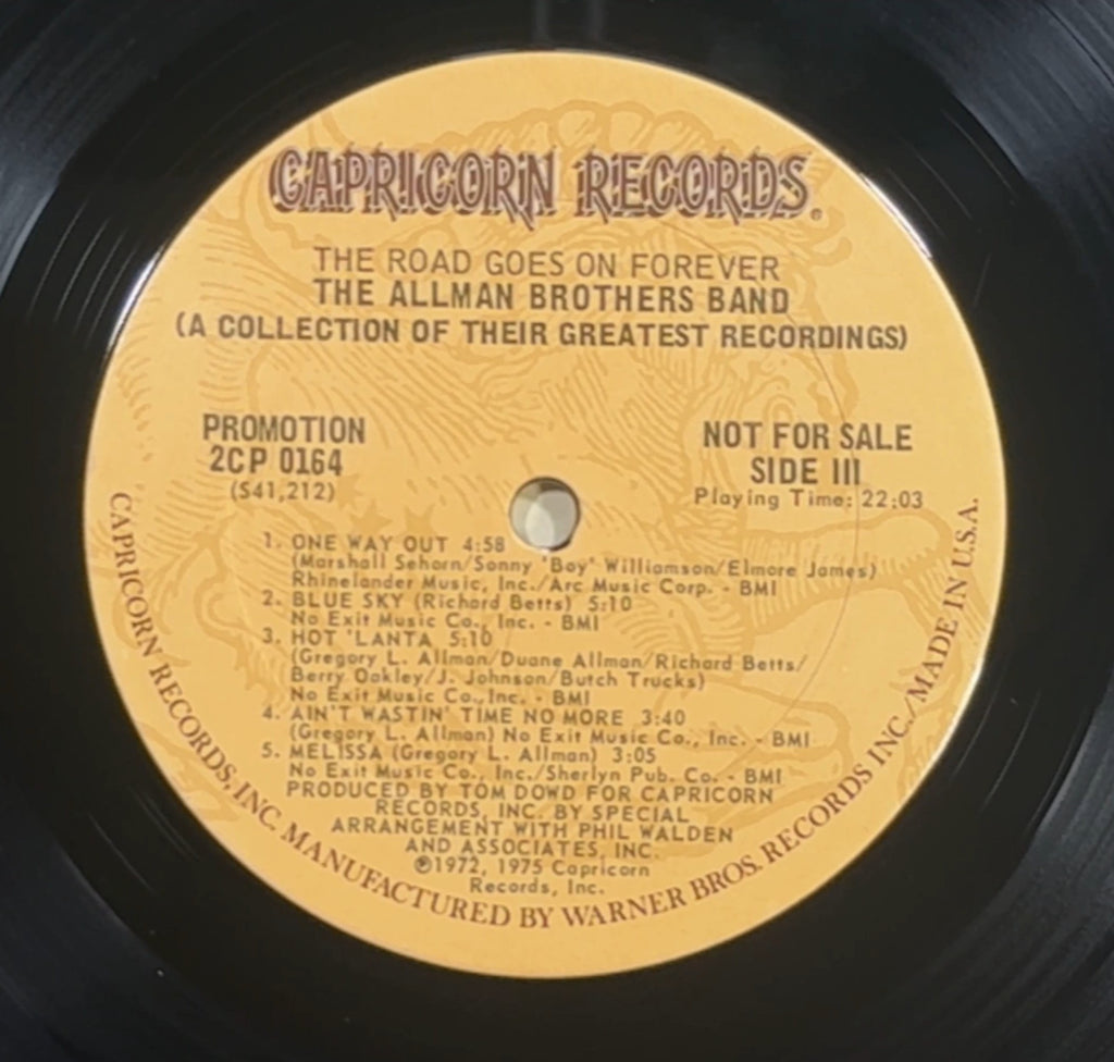 Allman Bros PROMO 1st Press The Road Goes On Forever 1975 VG/VG+