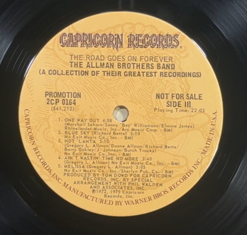 Allman Bros PROMO 1st Press The Road Goes On Forever 1975 VG/VG+