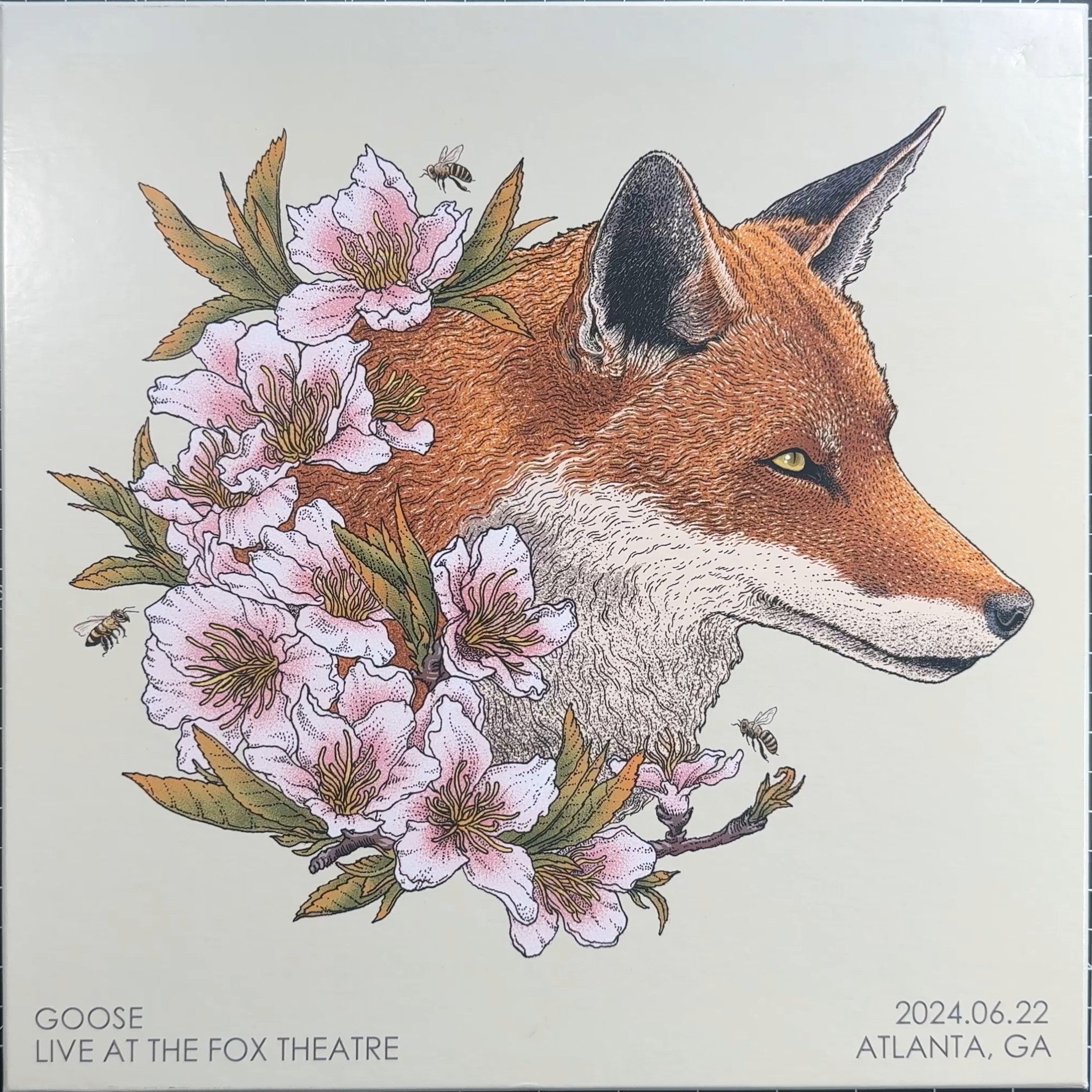 Goose - Live At The Fox Theatre (BOX SET) 2024 US