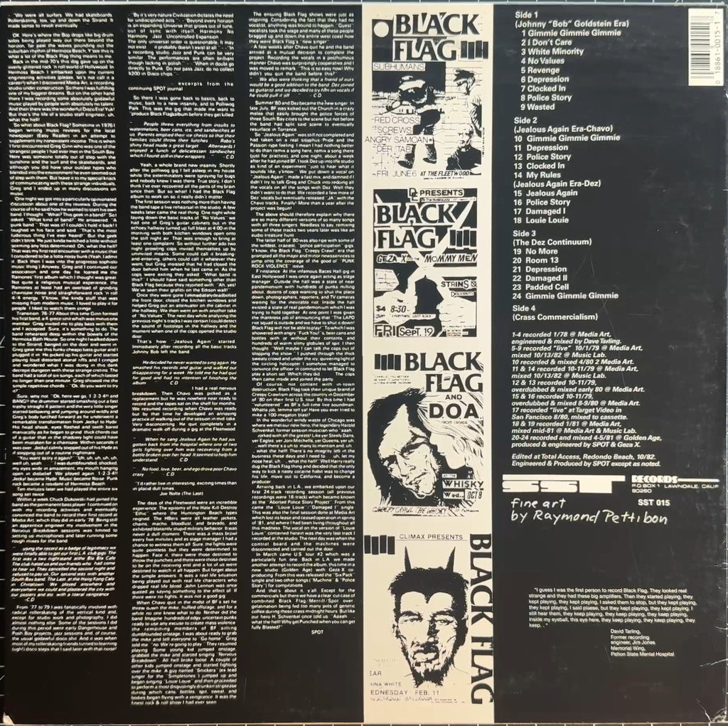 Black Flag Everything Went Black SST 015 VG+/VG+