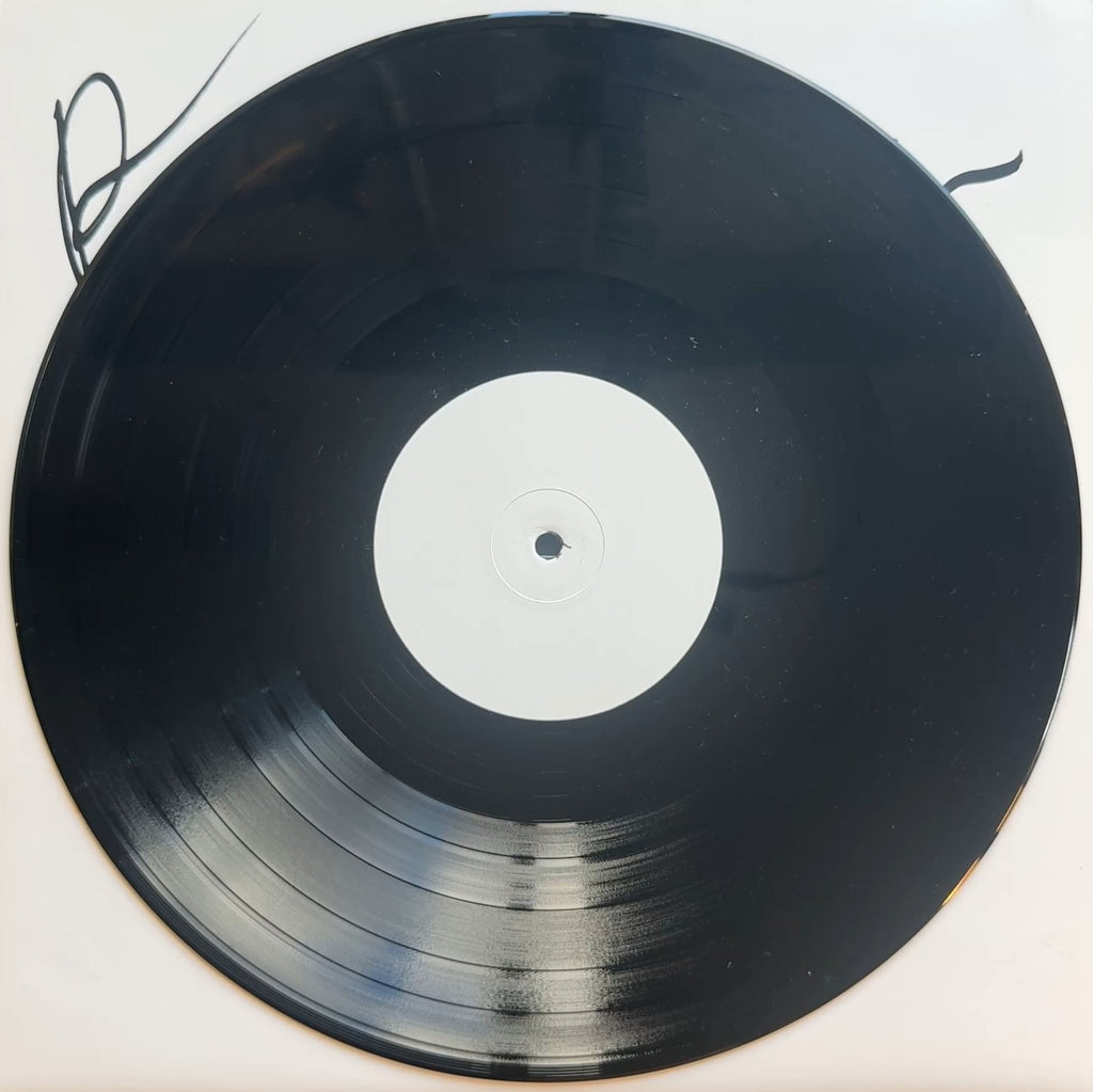 AUTOGRAPH Hiatus Kaiyote Mood Valiant 1st Ltd Edtn (500 copies) Crafted by Band